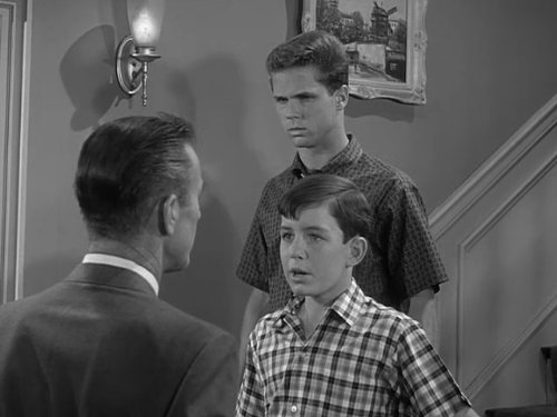 Ward Cleaver
